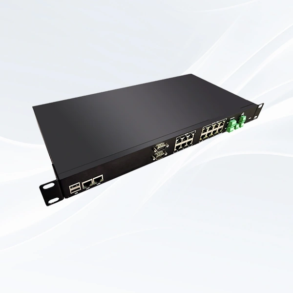 Embedded Environmental Monitoring Host – VH3300-II Series